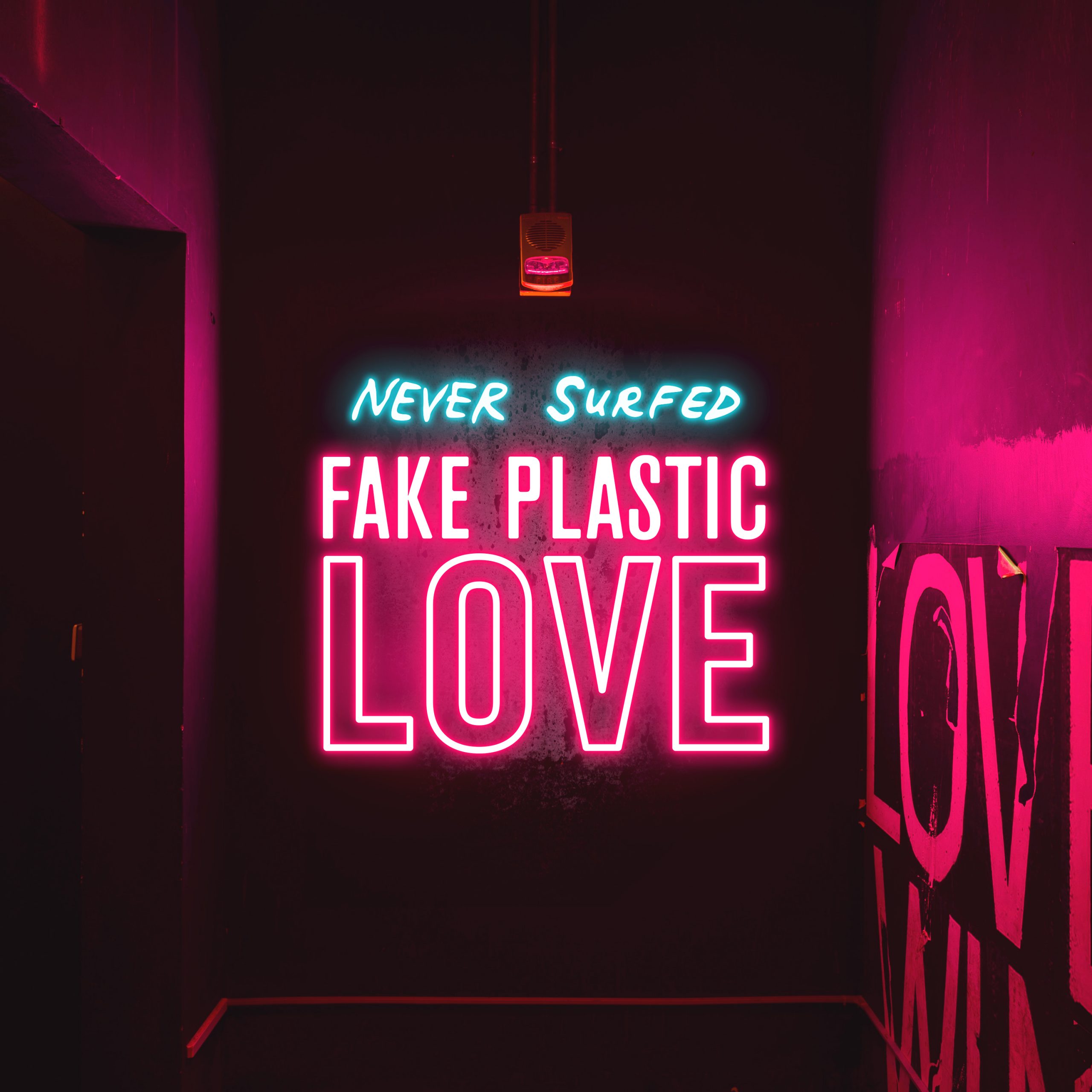 Never Surfed - Fake Plastic Love